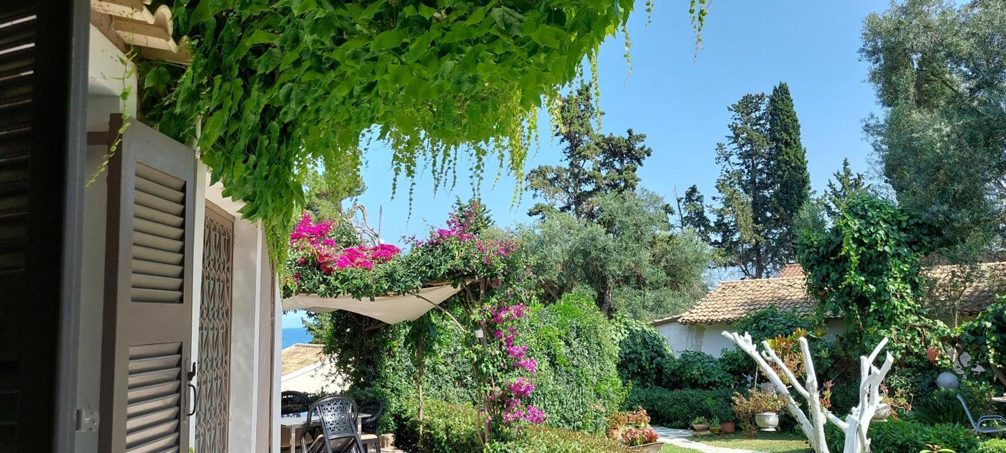Ionian Paths Apartment Perama  Room photo